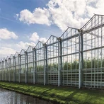 বাণিজ্যিক গ্রিনহাউস