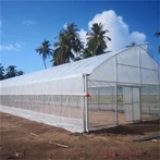 গ্রিন হাউস টানেল