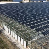 Polycrystalline Silicon Photovoltaic Greenhouse