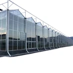 ভেনলো টাইপ গ্রিনহাউস